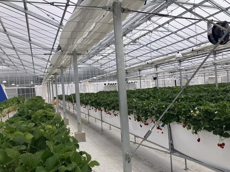 THE FARM スロウマウンテン成田76