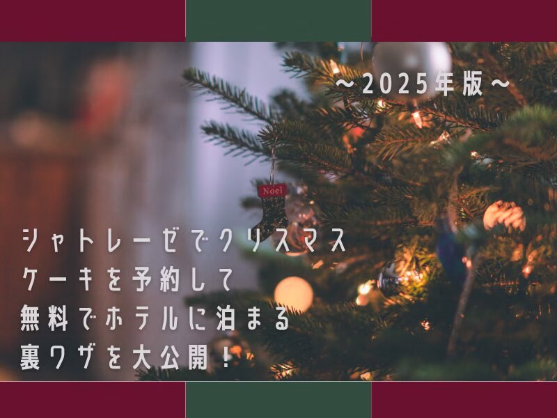 クリスマス予約 イメージ6