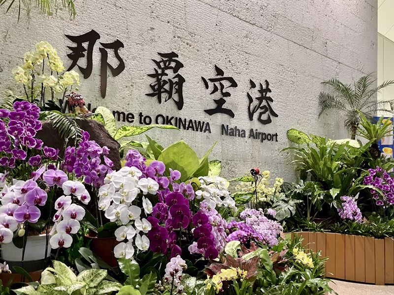 沖縄 イメージ9