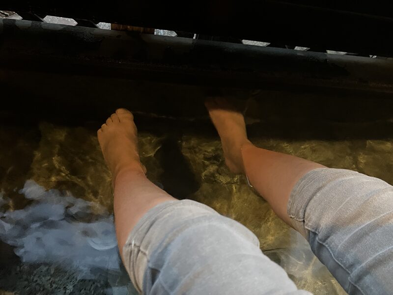 筑波山江戸屋15